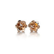 Chantecler Orecchini Paillettes Oro 38478